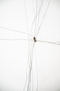 Esch | Kähler, installation view 2026, courtesy BOND FENSTER, Berlin