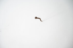 Martin Kähler, Nagel I, iron, 23 cm, 2026, price on request